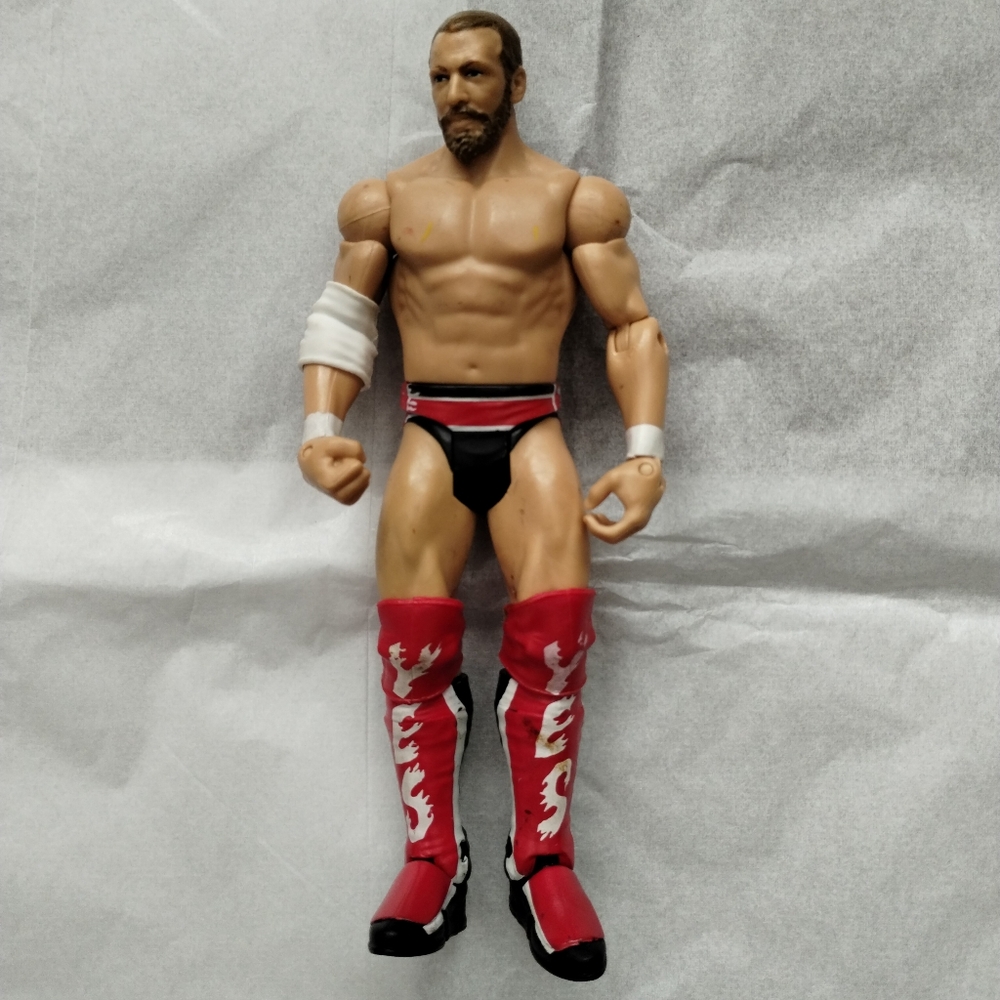 WWE Daniel Bryan Mattel Elite Series 19 Wrestling Action Figure